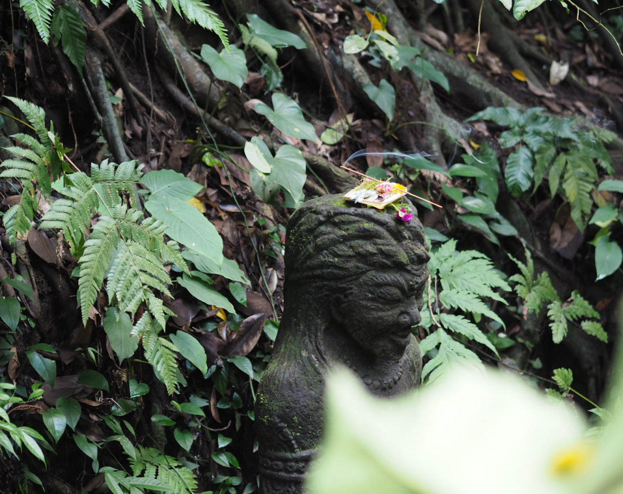 ubud monkey forest bali