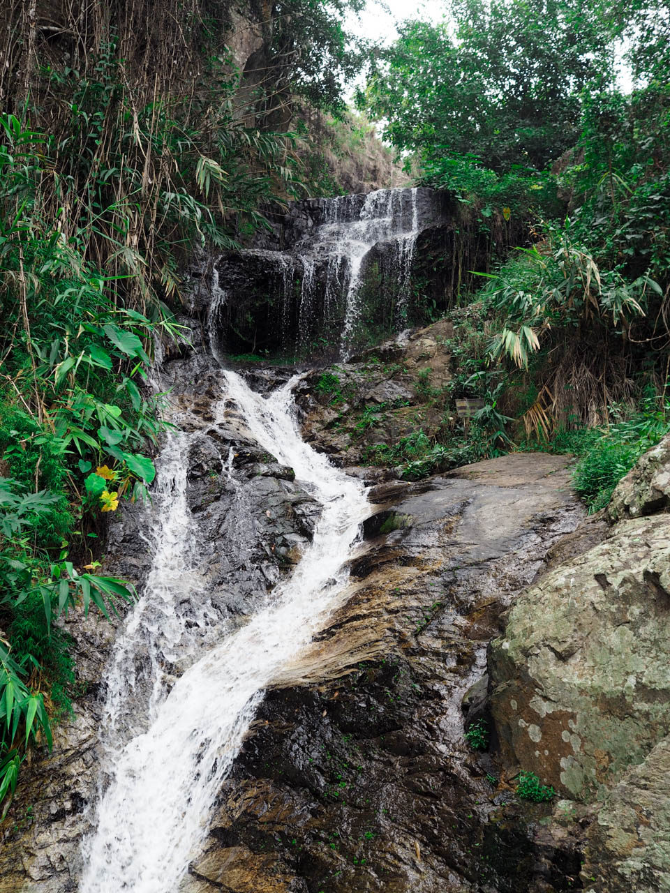 12-gode-grunde-til-at-besoege-chiang-mai-5